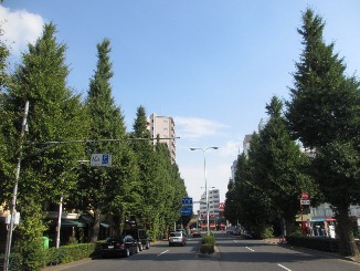 夏の思い出に・・・。_d0091909_845825.jpg