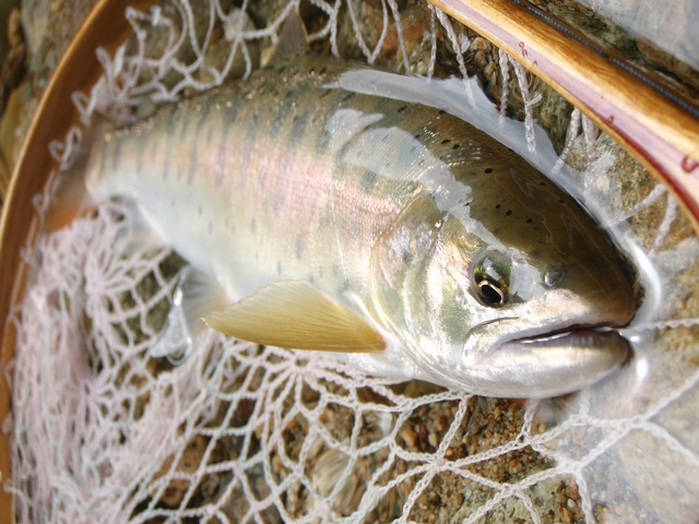f0137709_0321598.jpg
