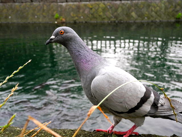 c0248013_15532040.jpg