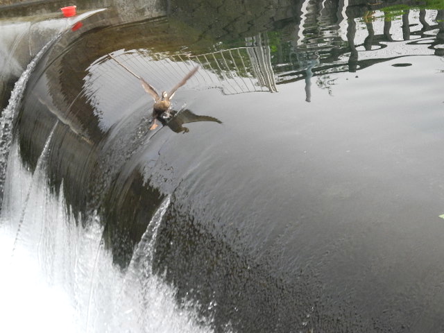 c0248013_16335391.jpg