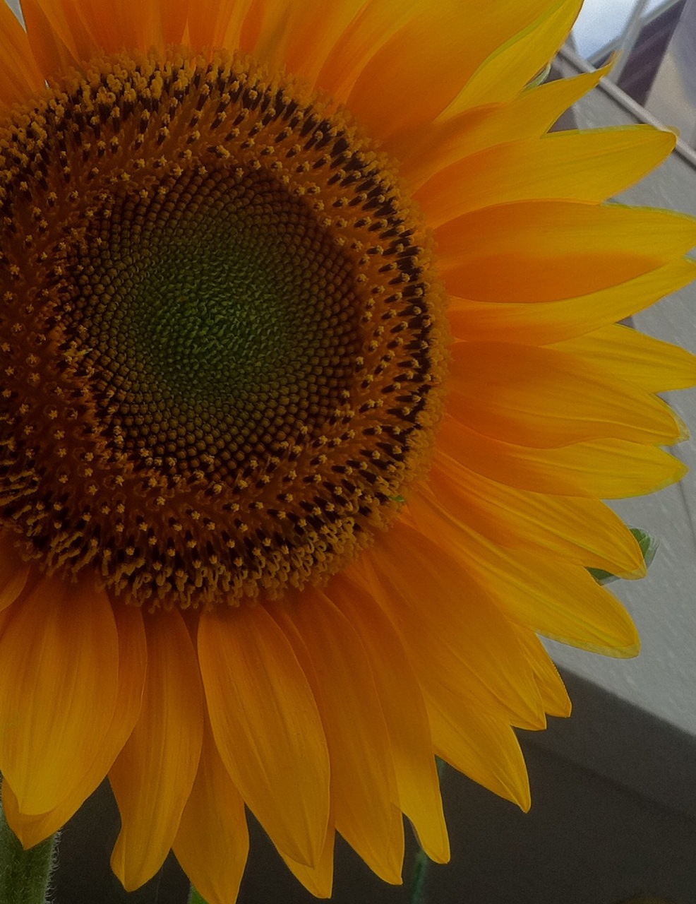 c0188525_146452.jpg