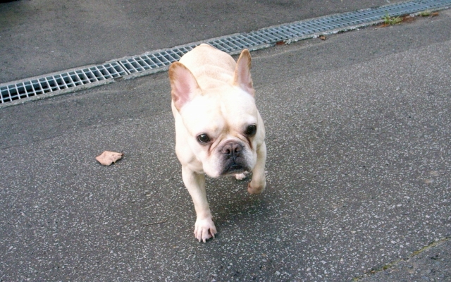 c0051132_21563436.jpg