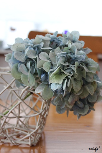 ドライ紫陽花と素敵な什器_f0023333_23291213.jpg