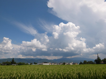a0014840_2033721.jpg