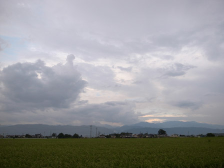 a0014840_2053633.jpg