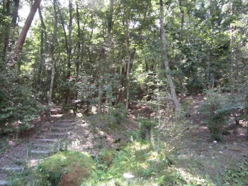 e0110940_7154637.jpg