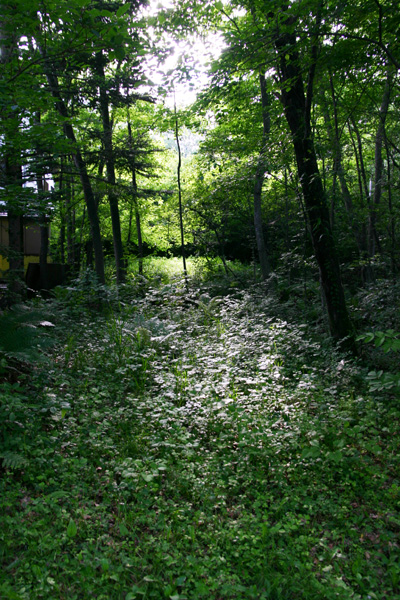 short trip_e0104046_2027205.jpg