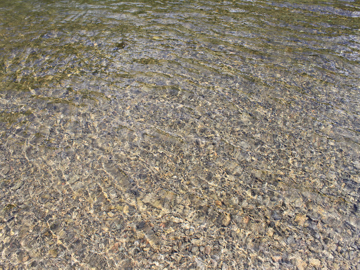 c0178561_21203146.jpg