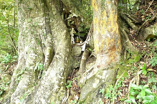 c0205169_8292290.jpg