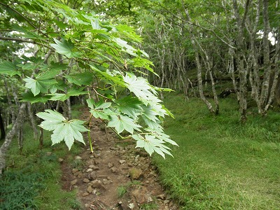 f0057070_21152698.jpg