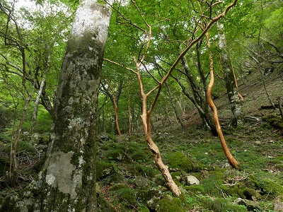 f0057070_21153647.jpg