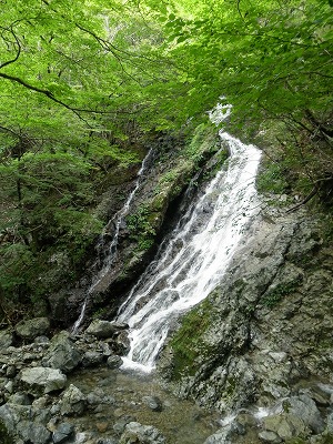 f0057070_2115467.jpg