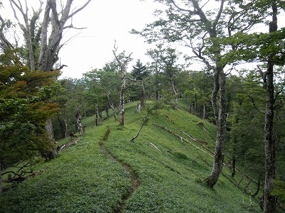 f0057070_211589.jpg