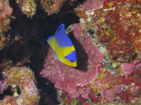 最高の海況でした！！_a0156273_1918623.jpg