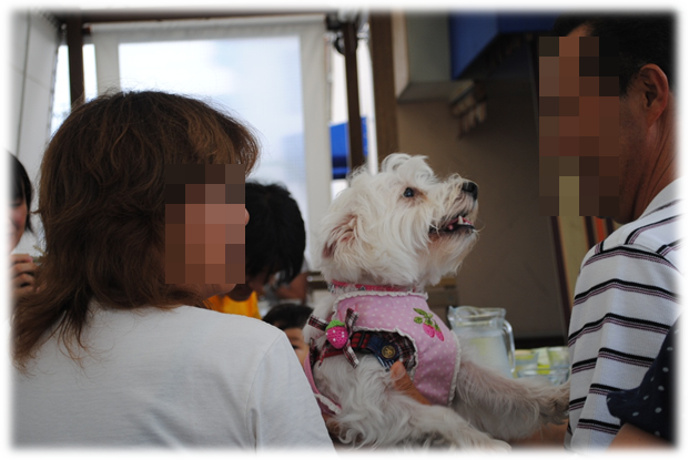 b0242873_21373915.png