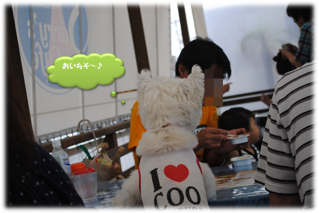 b0242873_21374922.png