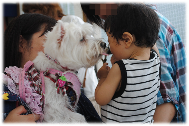 b0242873_21392390.png