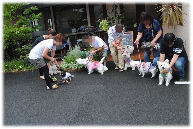 b0242873_2149424.png