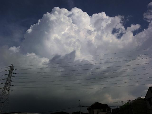 a0044076_2151218.jpg