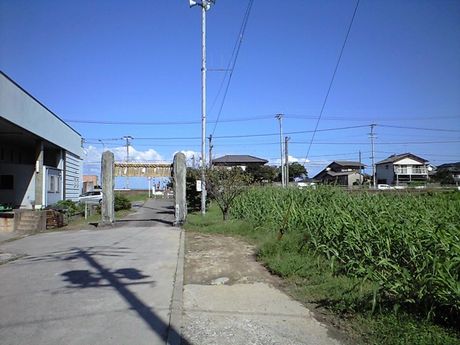 b0005281_2321951.jpg