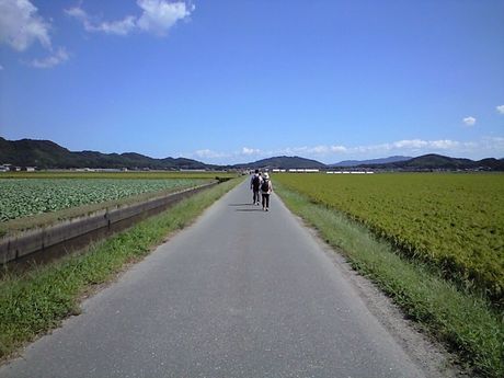 b0005281_23222222.jpg