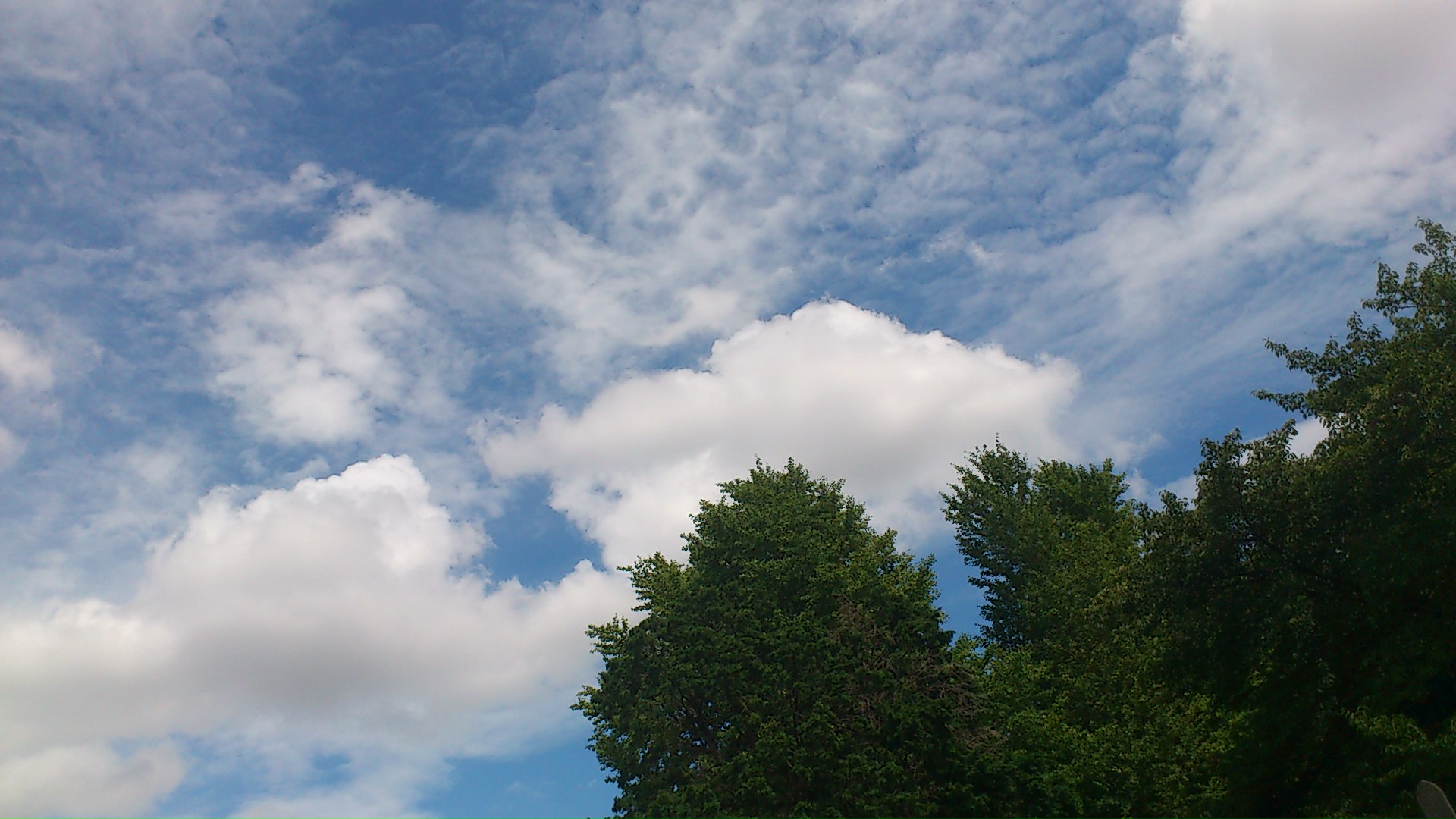 d0056881_97266.jpg