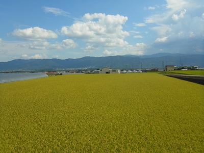 仕事のついでに，眉山，川島周回_e0201281_21252363.jpg