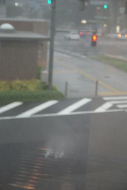 突然の_f0202682_14463362.jpg