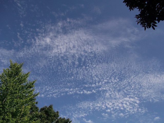 c0212083_2342165.jpg