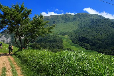 伊吹山で歩荷トレ？まとめ編_f0073587_12404344.jpg