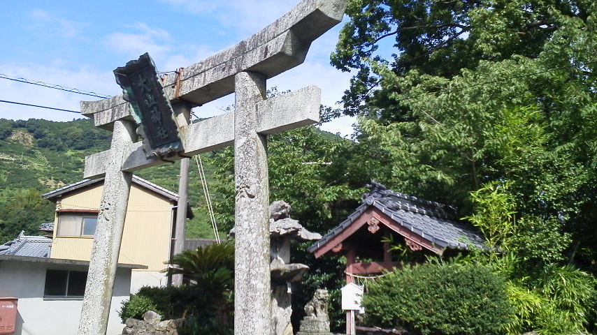 e0087595_351763.jpg