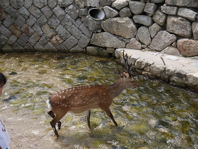 帰省_a0233896_029848.jpg