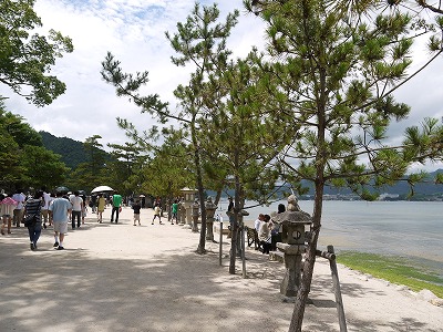 帰省_a0233896_0842.jpg