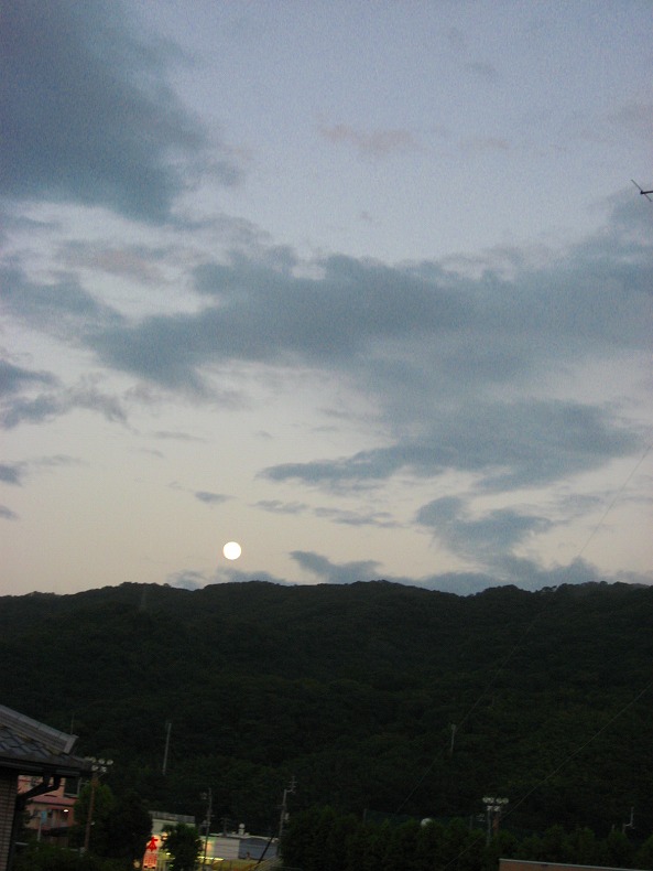 c0204298_14542078.jpg