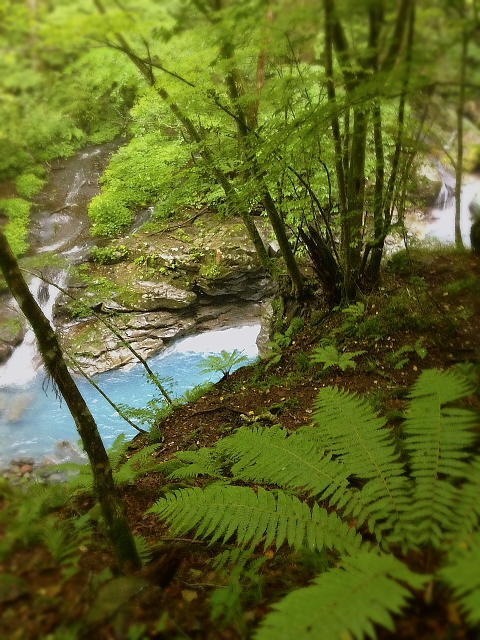 a0237302_20535145.jpg