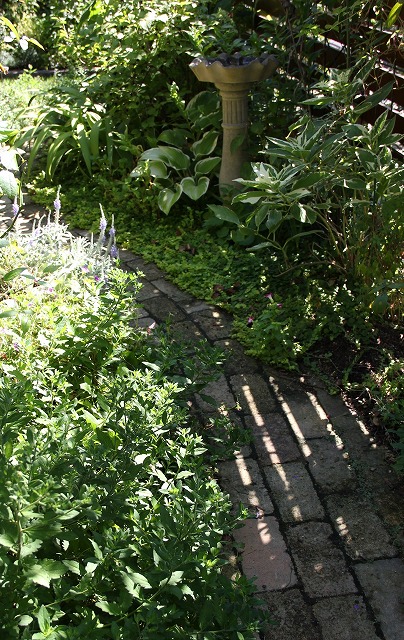 a0123003_23224890.jpg
