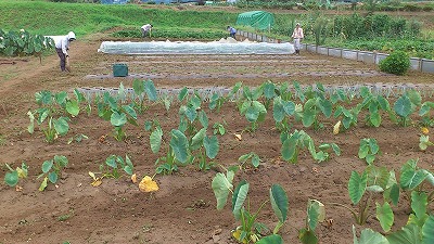 e0270403_0112881.jpg