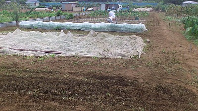 e0270403_0135936.jpg