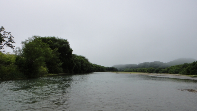 d0051707_20545744.jpg