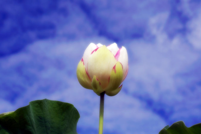 a0263109_17515728.jpg