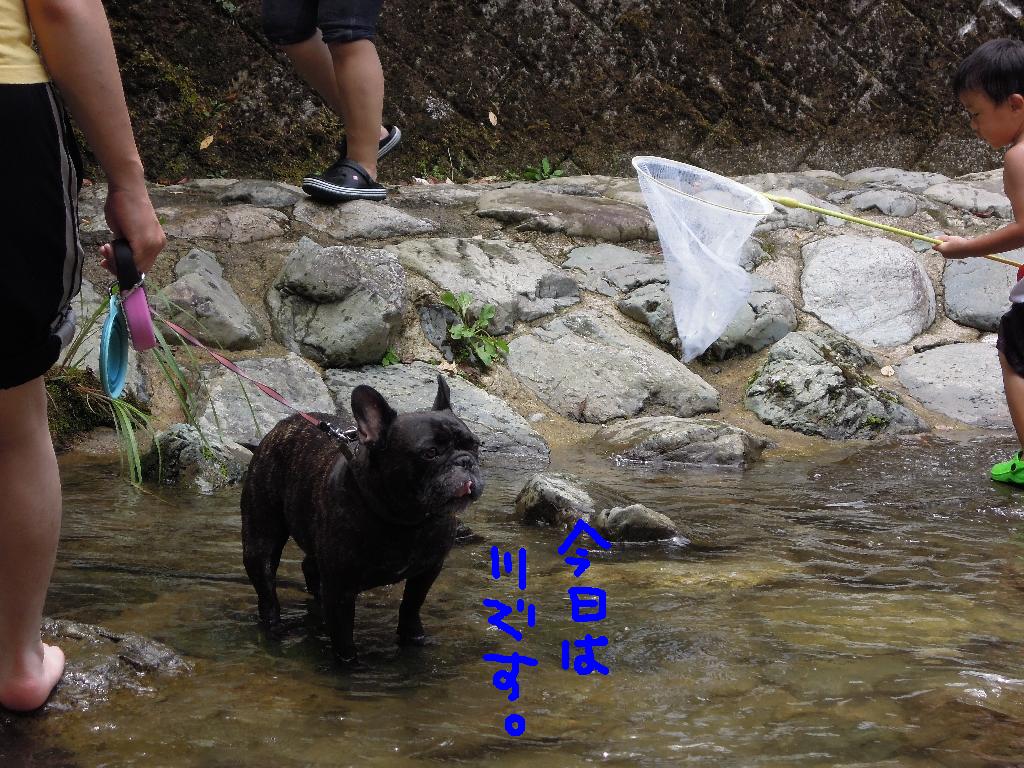 c0113109_10483557.jpg