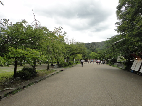 c0175712_20565672.jpg
