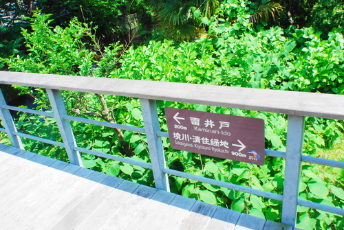 清らかで、濁りなきよう。_c0116714_22334348.jpg