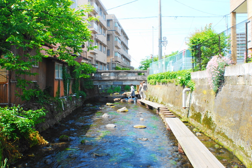 清らかで、濁りなきよう。_c0116714_22345041.jpg