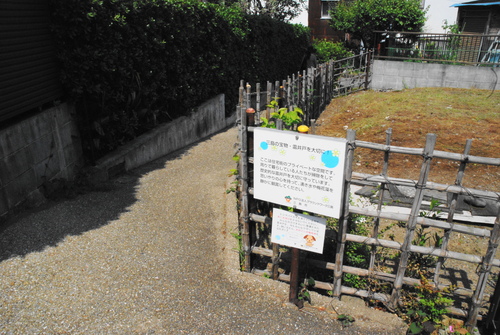 清らかで、濁りなきよう。_c0116714_2242624.jpg