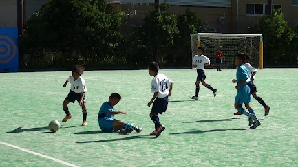a0109316_20221786.jpg
