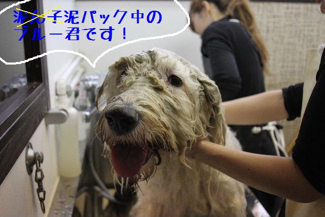 こんにちわぁ～～！！_b0130018_144765.jpg