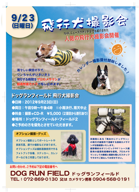 大阪ドッグランフィールドさんで飛行犬撮影会やります 飛行犬撮影所 Kobe