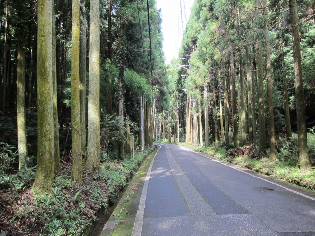 c0225420_929734.jpg