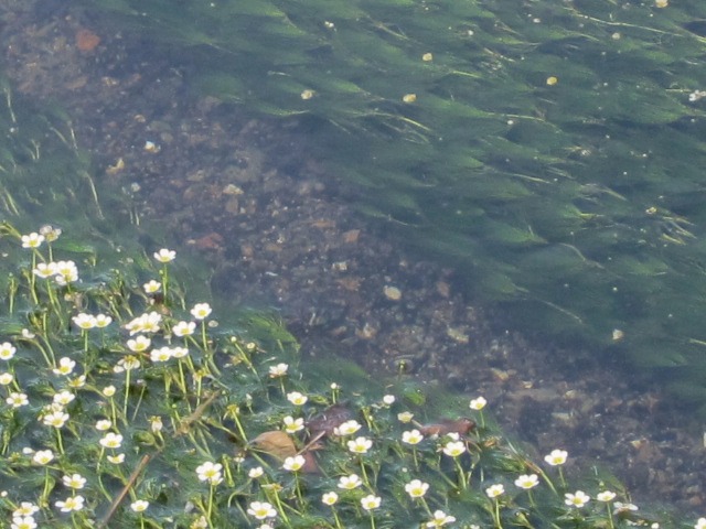 c0225420_931897.jpg